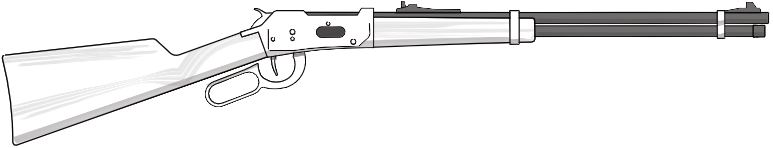 Image of Lever Action Rifle
